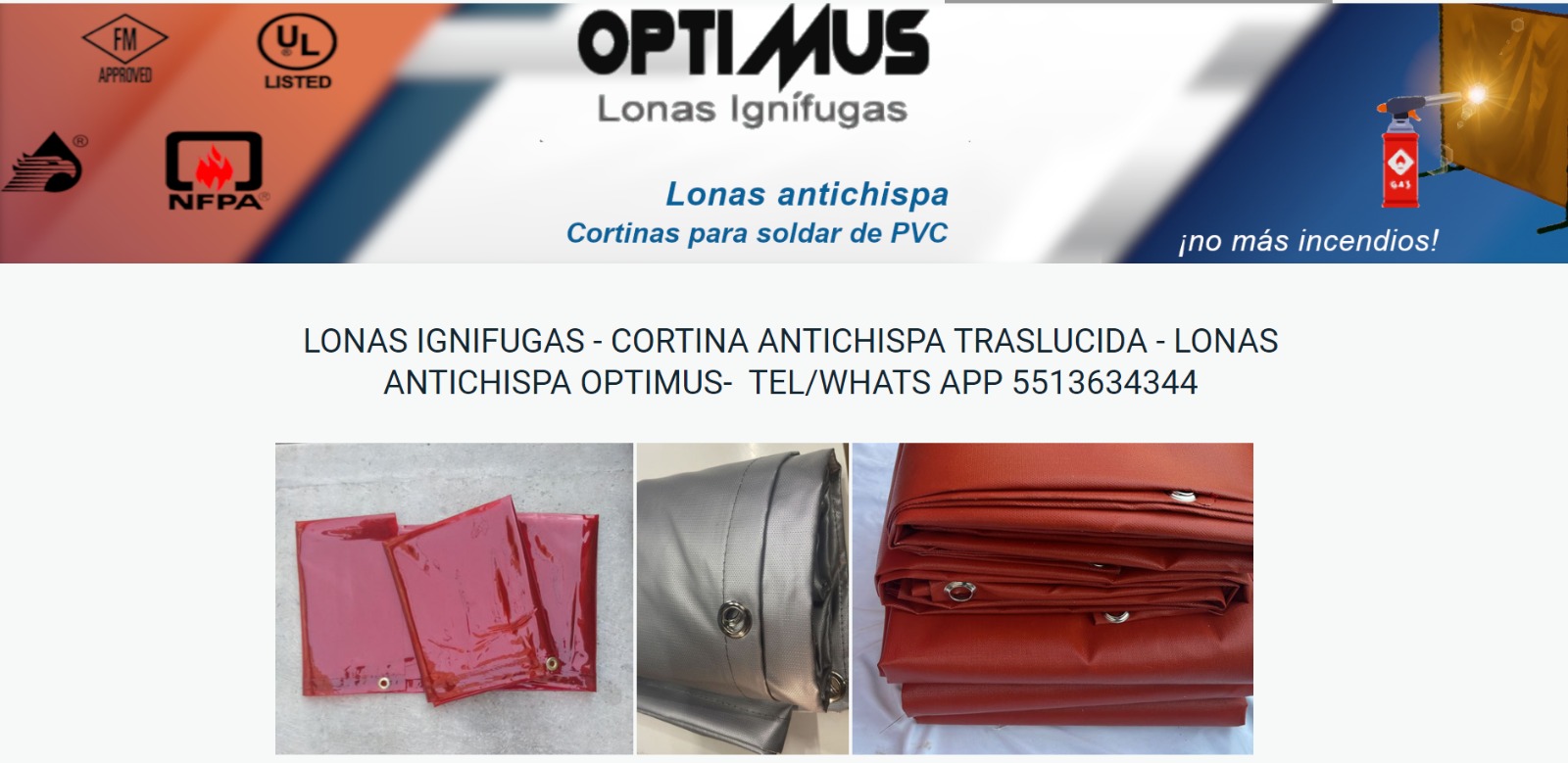 Lonas Anrichispa OPTIMUS